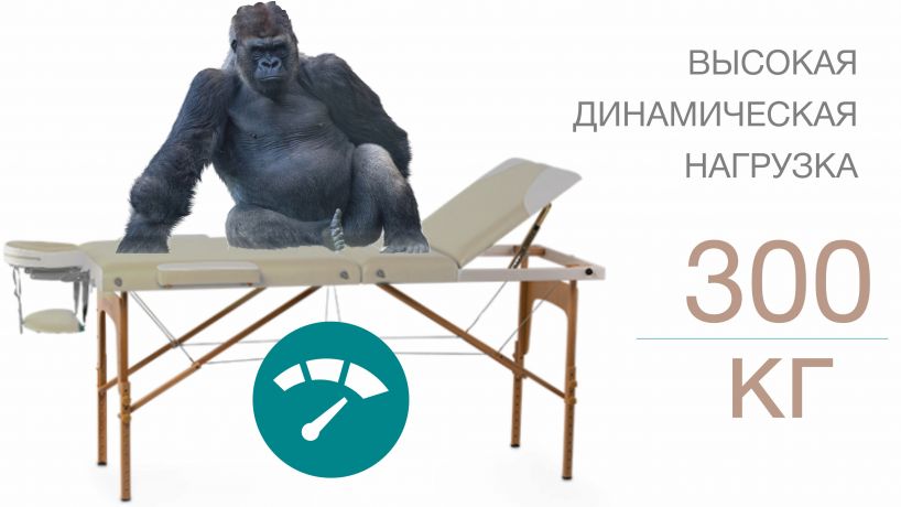 Массажный стол Bodo Drevent